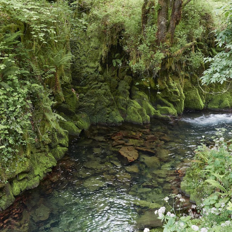 5038139-CETAREAS-DE-LLANES-copia-768x768